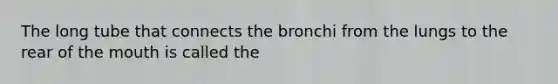 The long tube that connects the bronchi from the lungs to the rear of the mouth is called the