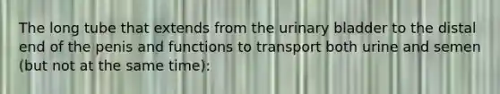 The long tube that extends from the urinary bladder to the distal end of the penis and functions to transport both urine and semen (but not at the same time):