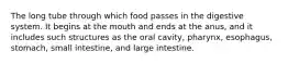 The long tube through which food passes in the digestive system. It begins at the mouth and ends at the anus, and it includes such structures as the oral cavity, pharynx, esophagus, stomach, small intestine, and large intestine.