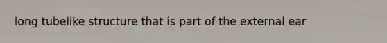long tubelike structure that is part of the external ear
