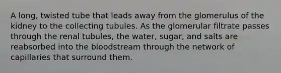 A long, twisted tube that leads away from the glomerulus of the kidney to the collecting tubules. As the glomerular filtrate passes through the renal tubules, the water, sugar, and salts are reabsorbed into the bloodstream through the network of capillaries that surround them.