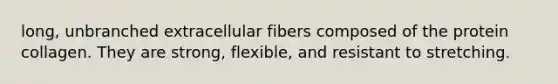 long, unbranched extracellular fibers composed of the protein collagen. They are strong, flexible, and resistant to stretching.