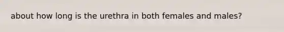 about how long is the urethra in both females and males?