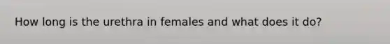 How long is the urethra in females and what does it do?