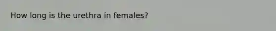 How long is the urethra in females?