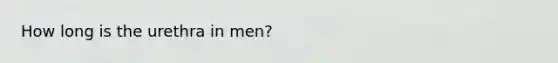 How long is the urethra in men?