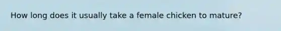 How long does it usually take a female chicken to mature?