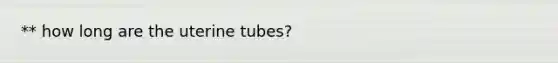 ** how long are the uterine tubes?