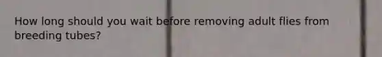 How long should you wait before removing adult flies from breeding tubes?