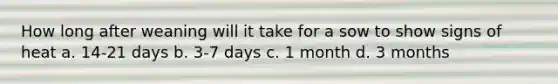 How long after weaning will it take for a sow to show signs of heat a. 14-21 days b. 3-7 days c. 1 month d. 3 months