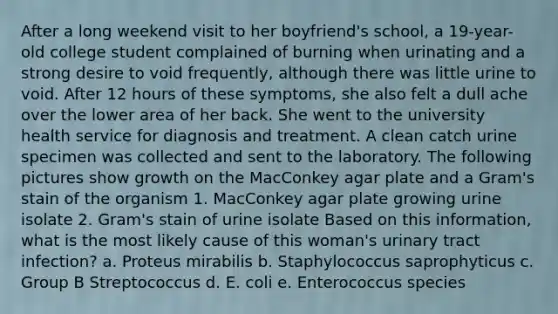 After a long weekend visit to her boyfriend's school, a 19-year-old college student complained of burning when urinating and a strong desire to void frequently, although there was little urine to void. After 12 hours of these symptoms, she also felt a dull ache over the lower area of her back. She went to the university health service for diagnosis and treatment. A clean catch urine specimen was collected and sent to the laboratory. The following pictures show growth on the MacConkey agar plate and a Gram's stain of the organism 1. MacConkey agar plate growing urine isolate 2. Gram's stain of urine isolate Based on this information, what is the most likely cause of this woman's urinary tract infection? a. Proteus mirabilis b. Staphylococcus saprophyticus c. Group B Streptococcus d. E. coli e. Enterococcus species