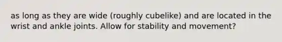 as long as they are wide (roughly cubelike) and are located in the wrist and ankle joints. Allow for stability and movement?