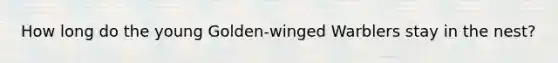 How long do the young Golden-winged Warblers stay in the nest?