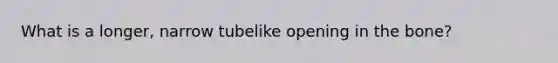 What is a longer, narrow tubelike opening in the bone?