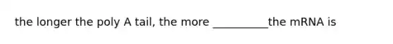 the longer the poly A tail, the more __________the mRNA is