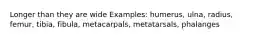 Longer than they are wide Examples: humerus, ulna, radius, femur, tibia, fibula, metacarpals, metatarsals, phalanges