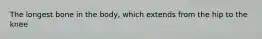 The longest bone in the body, which extends from the hip to the knee