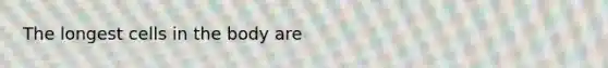 The longest cells in the body are