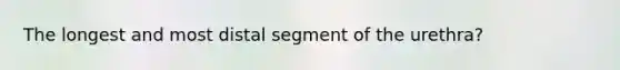 The longest and most distal segment of the urethra?