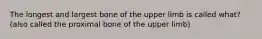 The longest and largest bone of the upper limb is called what? (also called the proximal bone of the upper limb)