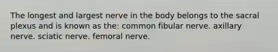 The longest and largest nerve in the body belongs to the sacral plexus and is known as the: common fibular nerve. axillary nerve. sciatic nerve. femoral nerve.