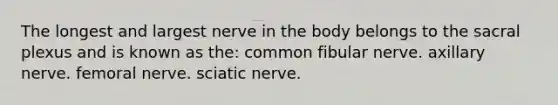 The longest and largest nerve in the body belongs to the sacral plexus and is known as the: common fibular nerve. axillary nerve. femoral nerve. sciatic nerve.