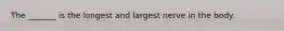 The _______ is the longest and largest nerve in the body.