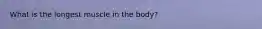 What is the longest muscle in the body?