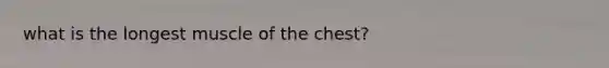 what is the longest muscle of the chest?