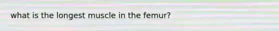 what is the longest muscle in the femur?