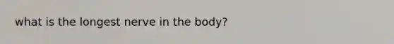 what is the longest nerve in the body?