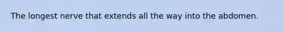 The longest nerve that extends all the way into the abdomen.
