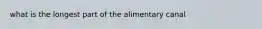 what is the longest part of the alimentary canal