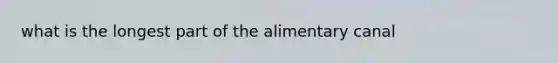 what is the longest part of the alimentary canal