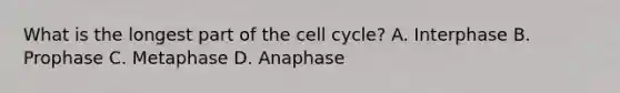 What is the longest part of the cell cycle? A. Interphase B. Prophase C. Metaphase D. Anaphase