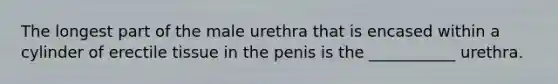 The longest part of the male urethra that is encased within a cylinder of erectile tissue in the penis is the ___________ urethra.