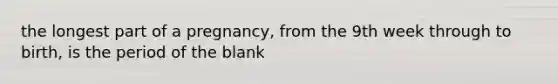 the longest part of a pregnancy, from the 9th week through to birth, is the period of the blank