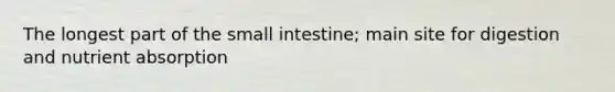 The longest part of the small intestine; main site for digestion and nutrient absorption