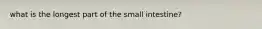 what is the longest part of the small intestine?