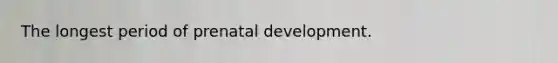 The longest period of prenatal development.