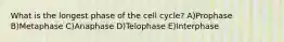 What is the longest phase of the cell cycle? A)Prophase B)Metaphase C)Anaphase D)Telophase E)Interphase