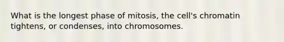 What is the longest phase of mitosis, the cell's chromatin tightens, or condenses, into chromosomes.