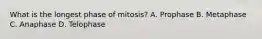 What is the longest phase of mitosis? A. Prophase B. Metaphase C. Anaphase D. Telophase