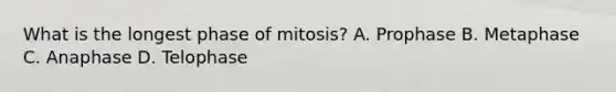 What is the longest phase of mitosis? A. Prophase B. Metaphase C. Anaphase D. Telophase