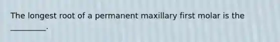 The longest root of a permanent maxillary first molar is the _________.