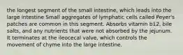 the longest segment of the small intestine, which leads into the large intestine Small aggregates of lymphatic cells called Peyer's patches are common in this segment. Absorbs vitamin b12, bile salts, and any nutrients that were not absorbed by the jejunum. It terminates at the ileocecal valve, which controls the movement of chyme into the large intestine.