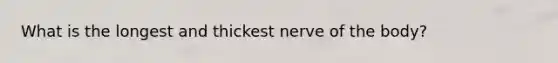 What is the longest and thickest nerve of the body?