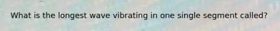 What is the longest wave vibrating in one single segment called?