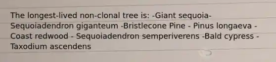 The longest-lived non-clonal tree is: -Giant sequoia- Sequoiadendron giganteum -Bristlecone Pine - Pinus longaeva -Coast redwood - Sequoiadendron semperiverens -Bald cypress - Taxodium ascendens