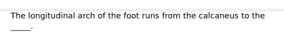 The longitudinal arch of the foot runs from the calcaneus to the _____.